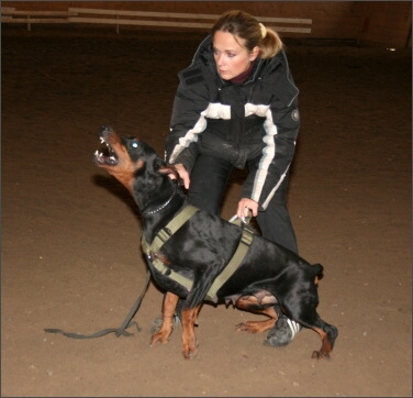 Training in Estonia 11/2007